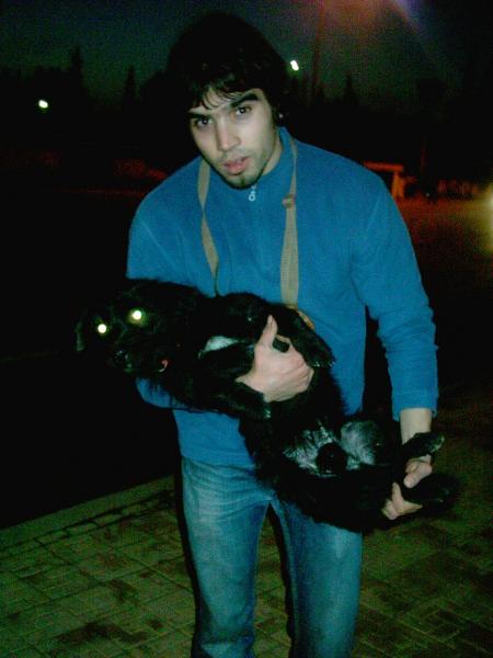 ci moi av mon chien